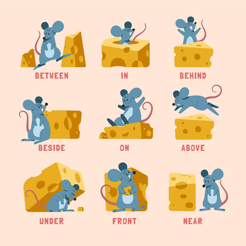 Positions in English